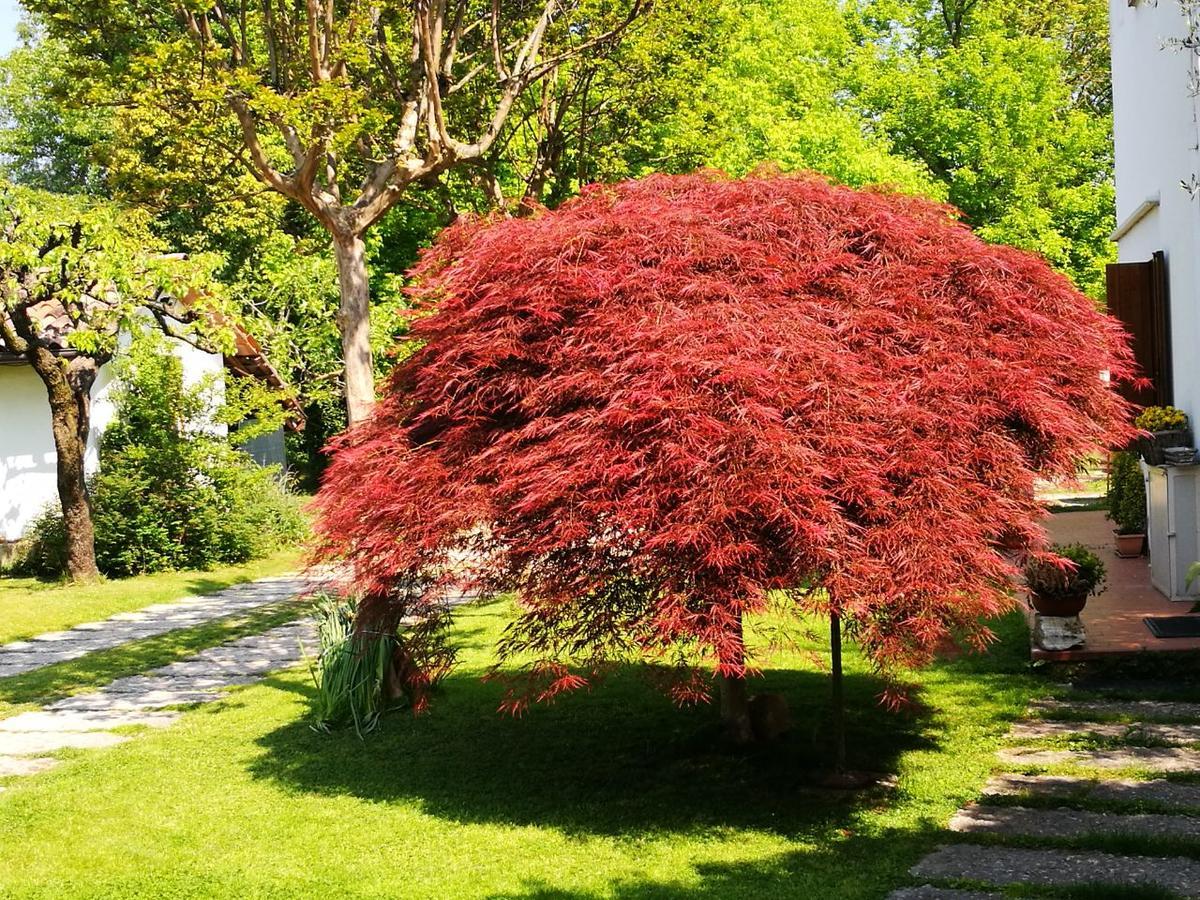 Alle Grazie Casier Bagian luar foto